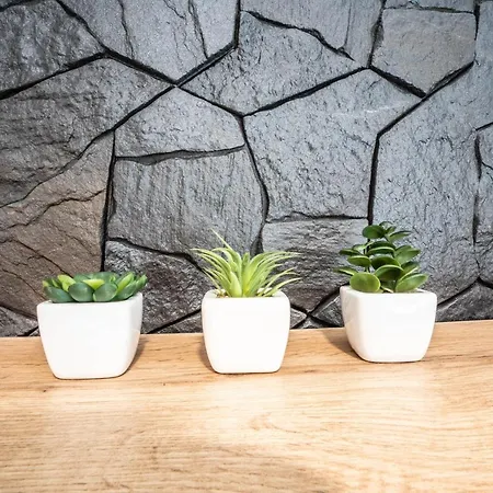 New Warszawa Parking Free