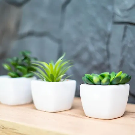 Διαμέρισμα New Warszawa Parking Free *